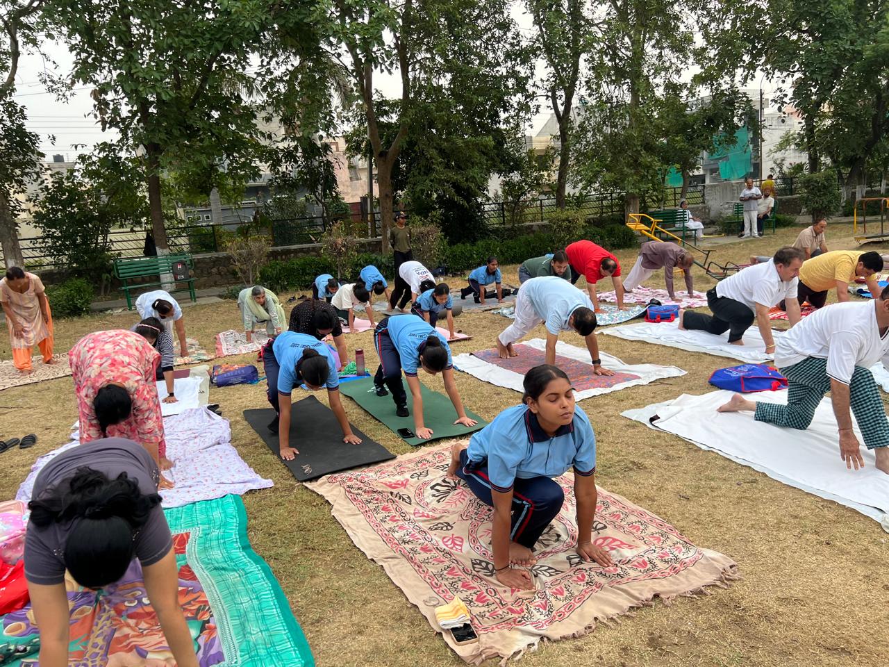 अल्फ़ा महेन्द्रू फाउंडेशन द्वारा 10 दिवसीय योग उत्सव का आयोजन
