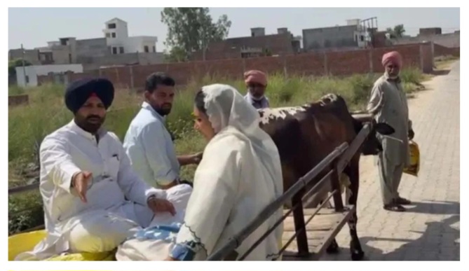 पंजाब निकाय,चुनाव  - बैलगाड़ी पर मतदान करने पहूंचे राजा वडिंग